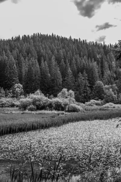 Dağlardaki nehrin güzel manzarası