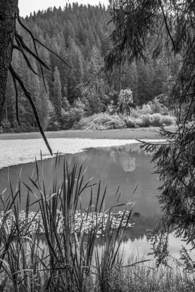Güzel bir manzaranın siyah beyaz fotoğrafı