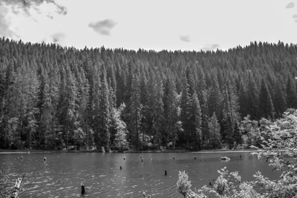 black and white photo of a mountain lake