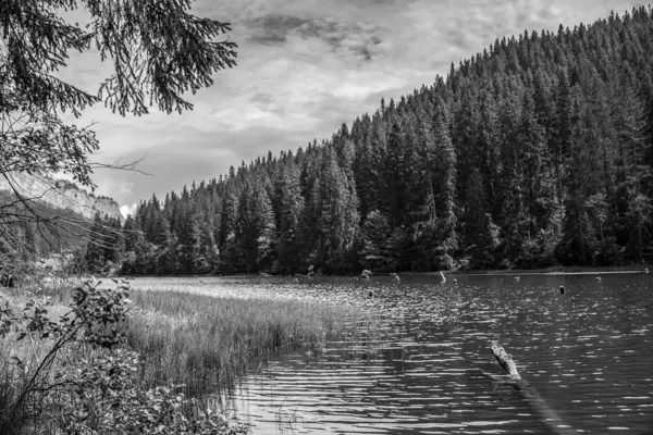 Dağların ortasında bir gölün siyah ve beyaz görüntüsü