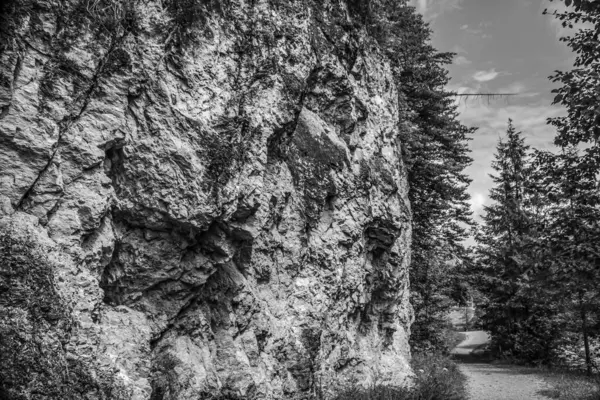 Dağ manzarası harika.