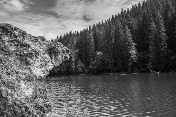 Doğadaki güzel göl, doğa manzarası