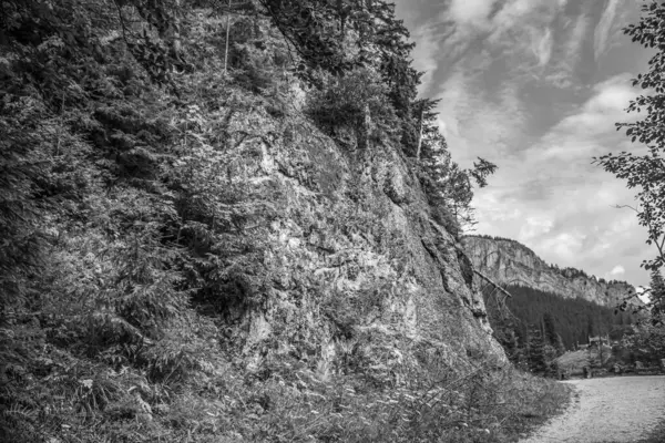 Siyah ve beyaz dağlardaki yolun fotoğrafı..