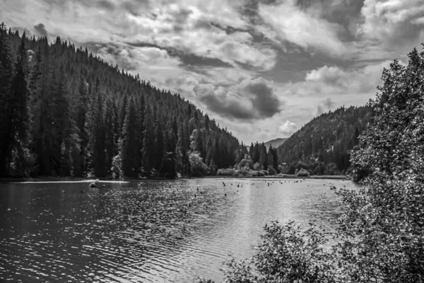 Gölün siyah beyaz fotoğrafı