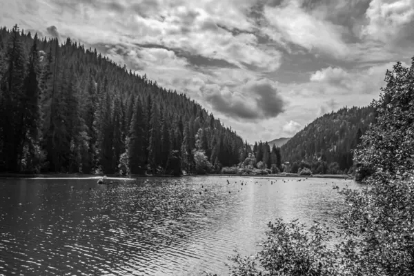 Göl ve dağlı güzel bir manzara.