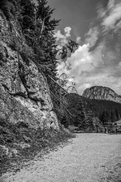 Dağlardaki kayalık bir yolun gri ölçekli görüntüsü.