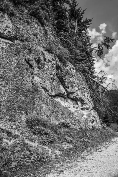 Dağlardaki ağaçların ve ormanların arasından geçen taştan bir yolun dikey gri tonlu görüntüsü.