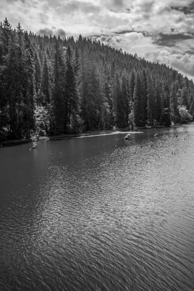 Ormandaki bir dağ nehrinin siyah beyaz fotoğrafı