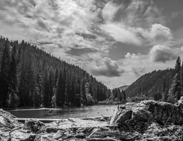 Parktaki gölün güzel manzarası