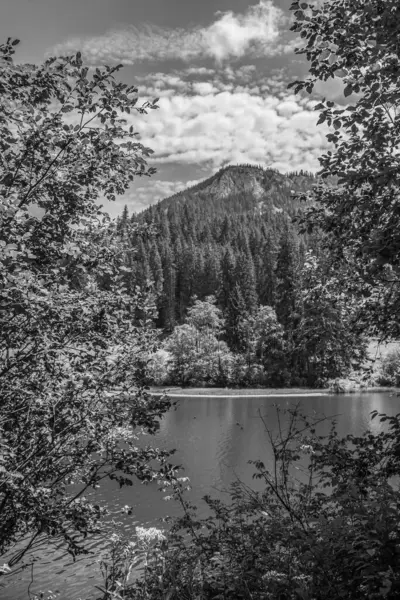 Gölün siyah beyaz görüntüsü