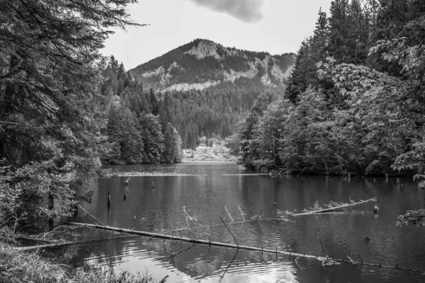 Karpatya 'daki güzel dağların siyah beyaz resmi