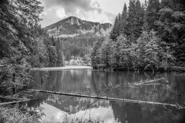 Dağ gölü olan ahşap bir köprünün siyah beyaz fotoğrafı.