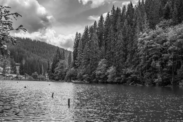 Dağlarda, kara ormanda bir göl.