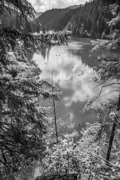 Dağlardaki güzel göl manzarası