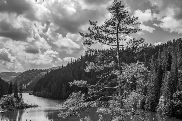 Dağlardaki dağ nehrinin güzel manzarası