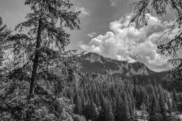 Güzel dağın siyah beyaz görüntüsü