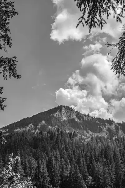 siyah ve beyaz dağ manzarası