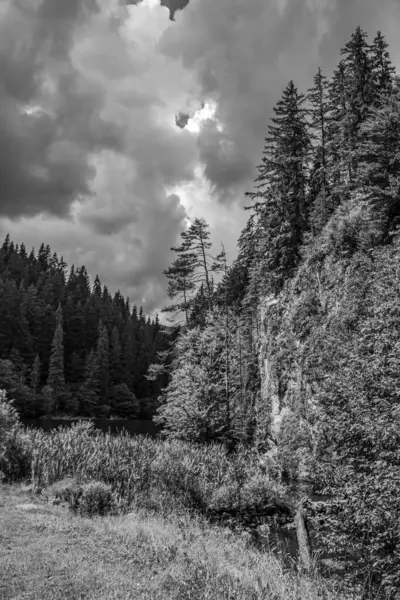 Arkasında bir dağ olan güzel bir manzara.