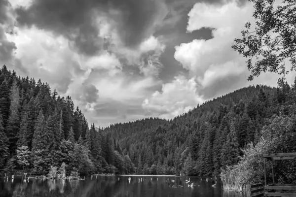 Siyah ve beyaz bulutlar ve ormanda bir göl