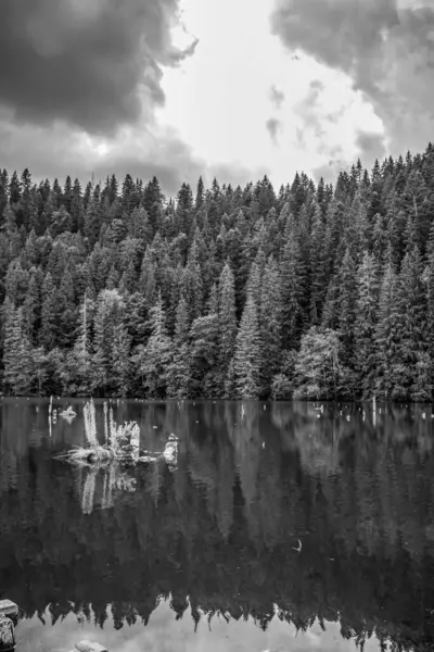 Göl ve dağlarla dolu güzel bir manzara.