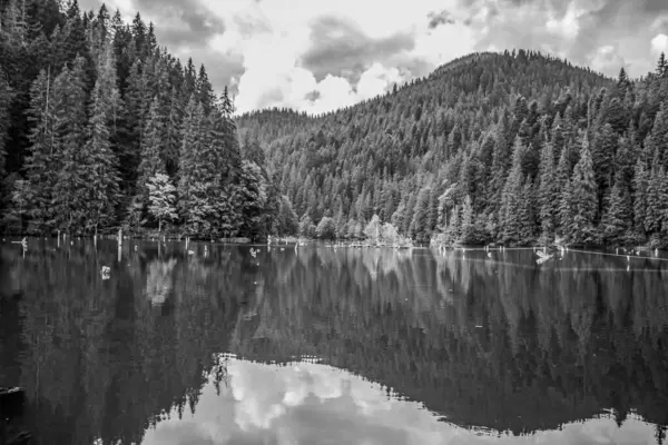 Dağlardaki siyah beyaz göl