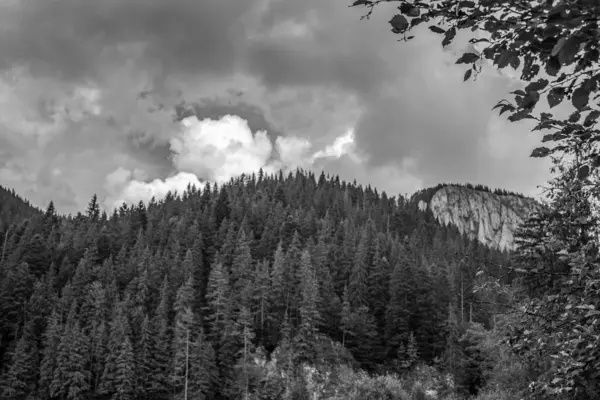 Tatra 'da güzel bir dağ manzarası, Slovakya, siyah ve beyaz