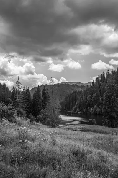 Güzel bir dağ manzarasının siyah beyaz fotoğrafı