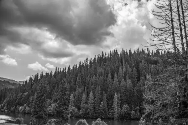 Siyah ve beyaz dağ gölü