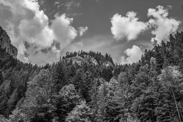 Dağların siyah beyaz görüntüsü