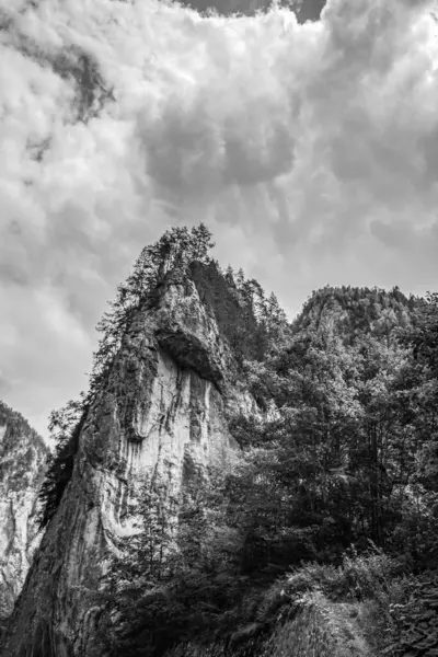 Dağların güzel manzarası