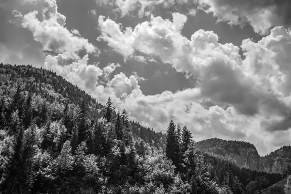 bir dağ manzarasının siyah beyaz fotoğrafı