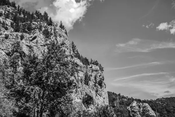 Dağların tepelerinin siyah-beyaz fotoğrafı Ağaçlı, Slovakya 'daki doğa arkaplanı.