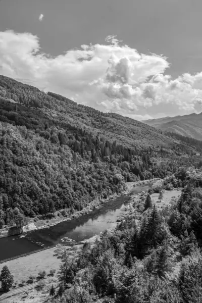 Güzel göl manzarası