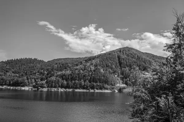 Gölün siyah beyaz fotoğrafı