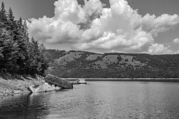 Ormandaki dağlarla çevrili bir gölün gri tonlu görüntüsü.