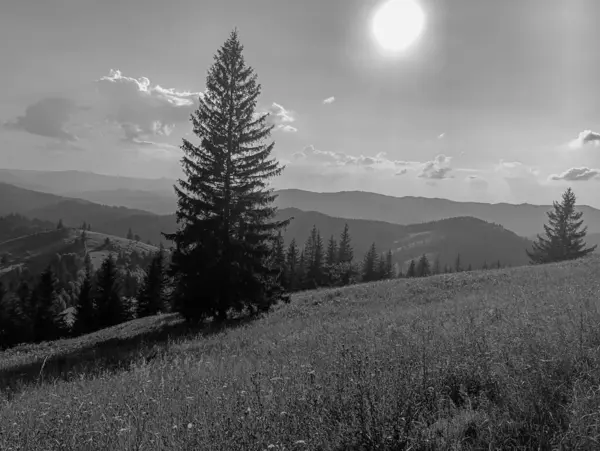 siyah ve beyaz manzara. Karpat Dağları.