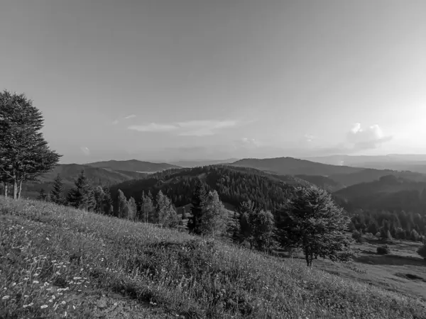 Karpatların Karpatlar 'daki güzel manzarası.