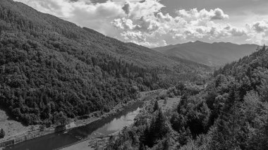 Dağlardaki siyah beyaz dağ ormanları