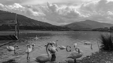 İtalya 'da göl, siyah beyaz