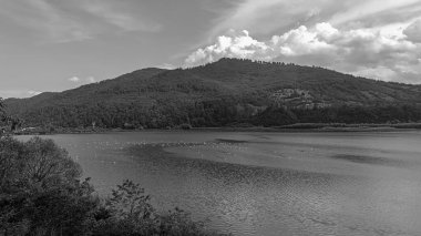 Denizin siyah beyaz fotoğrafı