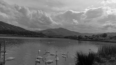 Güzel göl manzarası ve dağlar.