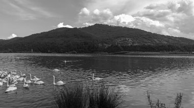 Gölün siyah beyaz fotoğrafı