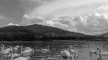 Dağlarda gölü olan güzel bir manzara.