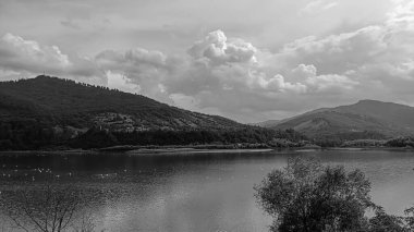 Stavanger şehri ve Norveç.