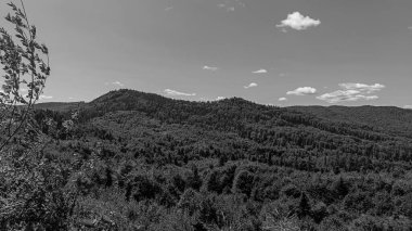 Karpatlar 'daki dağ manzarasının siyah beyaz bir görüntüsü..