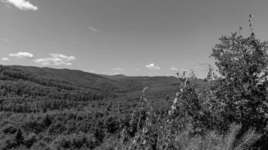 Karpat Dağlarının güzel manzarası