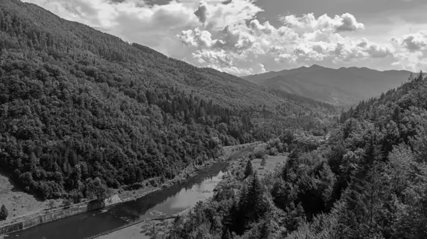 Dağlardaki siyah beyaz dağ ormanları