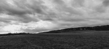 Arkaplanda bulutlu gökyüzü olan bir alanın gri tonlu görüntüsü