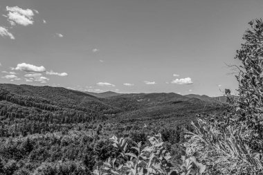 Güzel manzaralı bir dağ sırasının siyah beyaz fotoğrafı