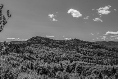 Gri tonda gündüz vakti dağlarla çevrili bir ağacın görüntüsü.